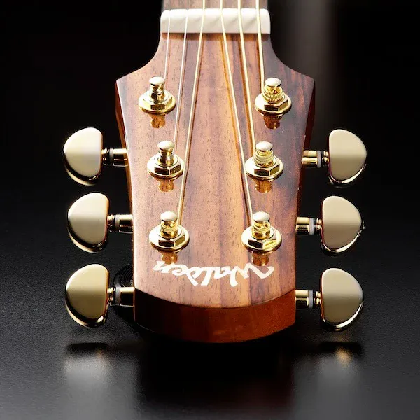 Walden G630CEW Electric-Acoustic Guitar